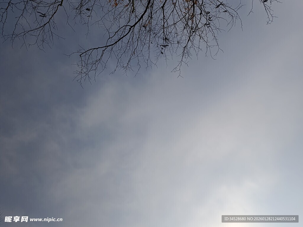 天空中的稀疏树枝与云朵