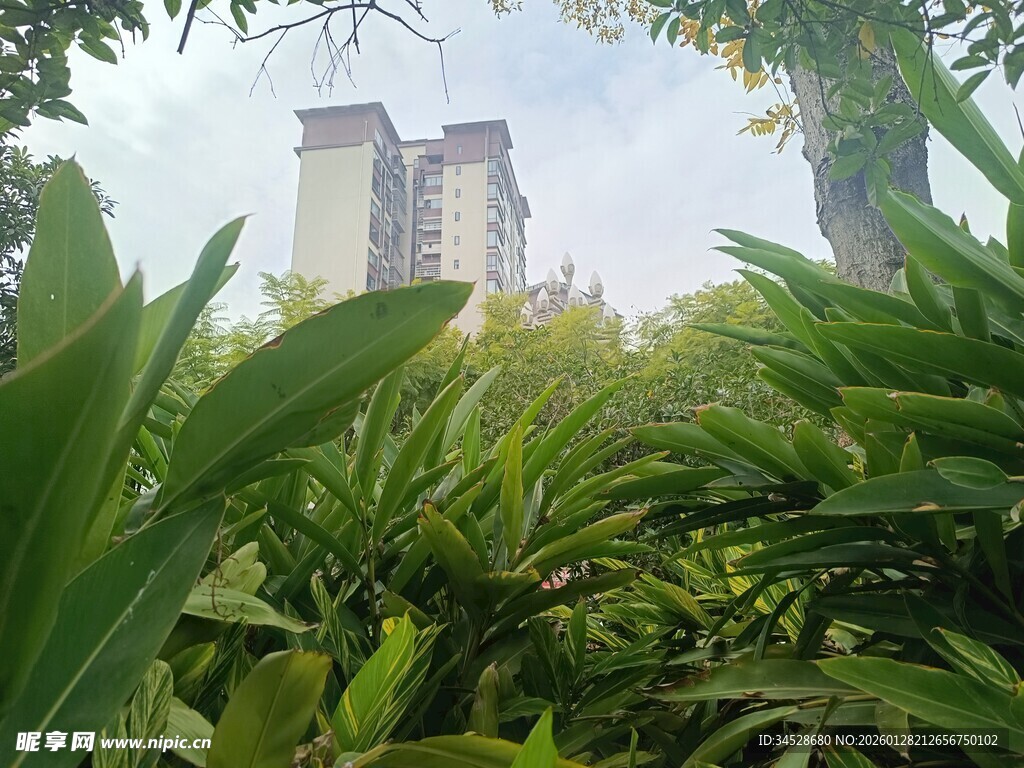 绿植掩映下的高楼景观