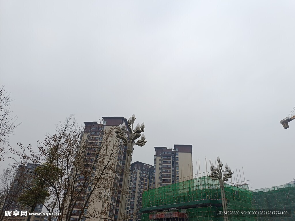 城市建筑旁飞鸟景象