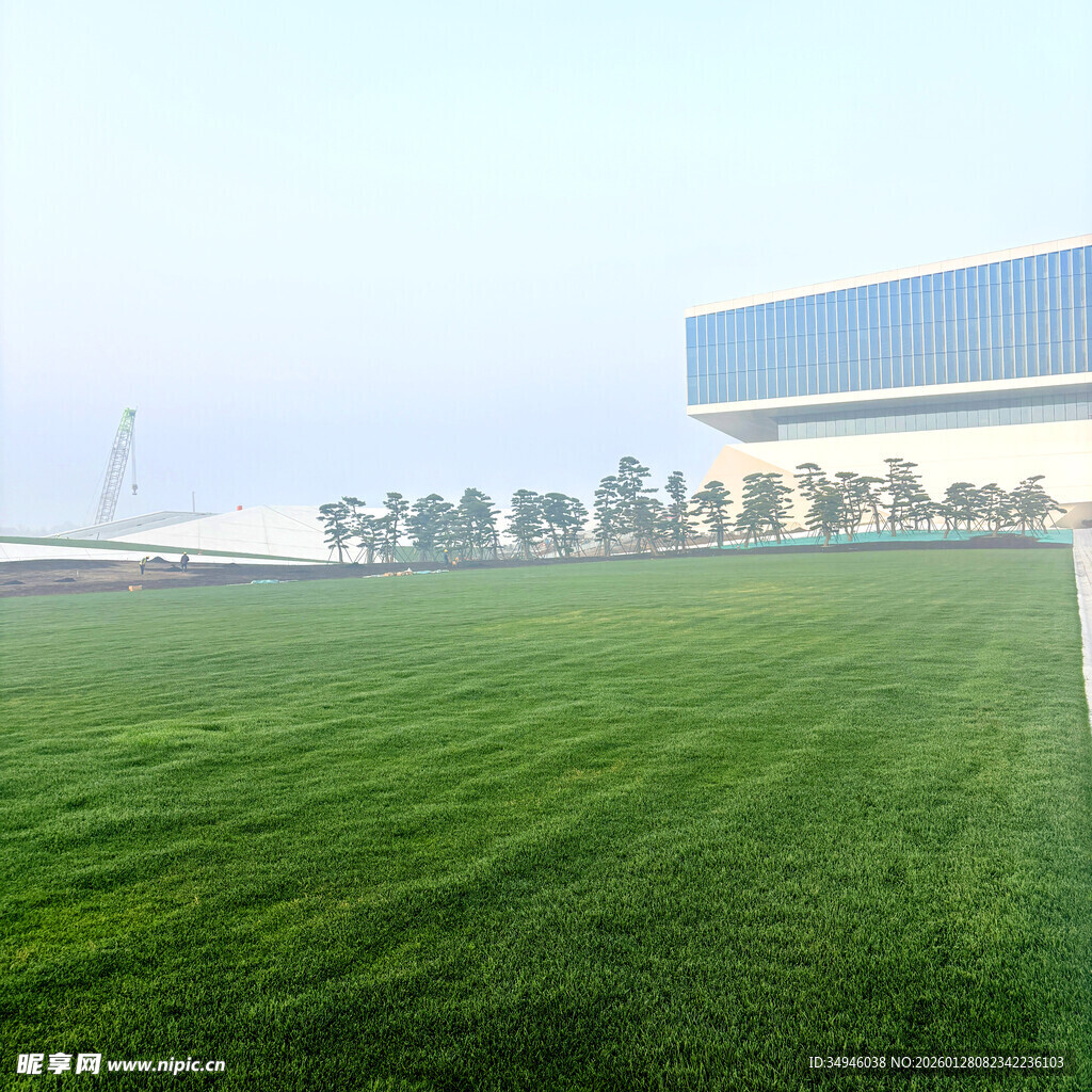 绿茵场地与现代建筑景观