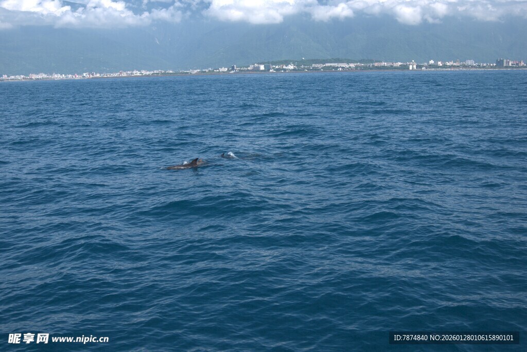 海中游泳者 广阔蓝色水域
