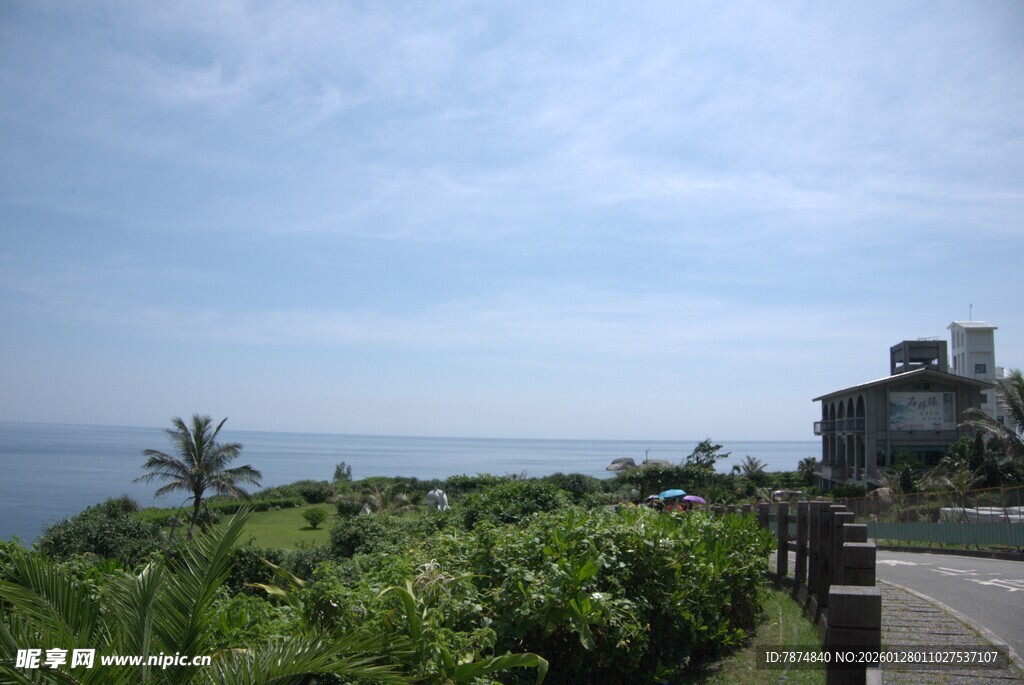海边公路旁的绿植与建筑