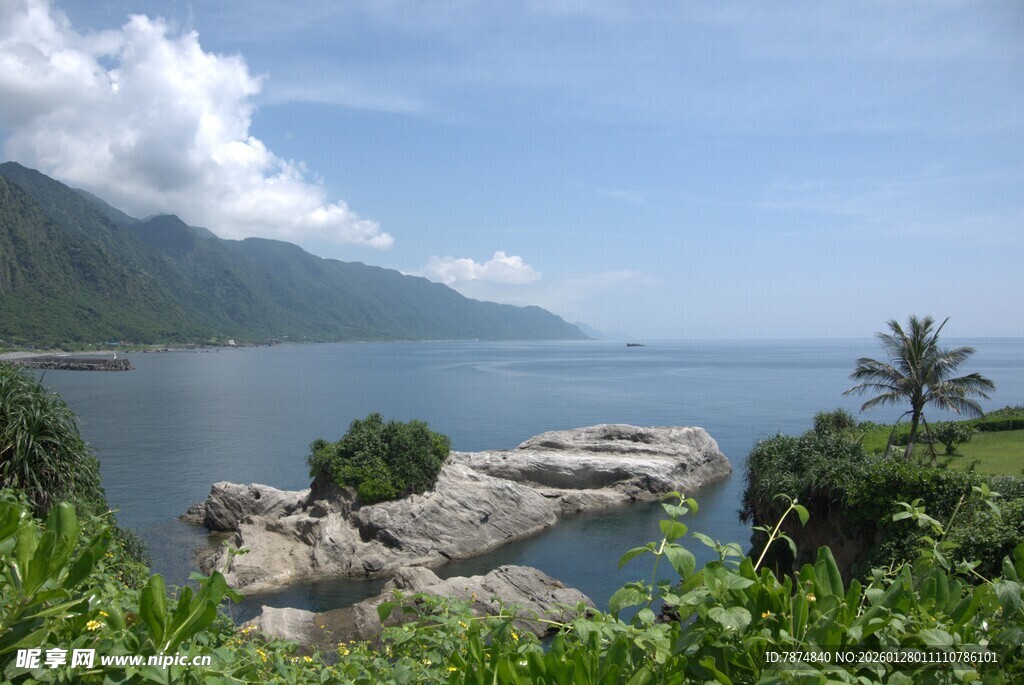 海边美景 绿植环绕的岩石