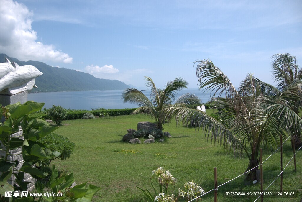 海滨绿草地与棕榈树景观