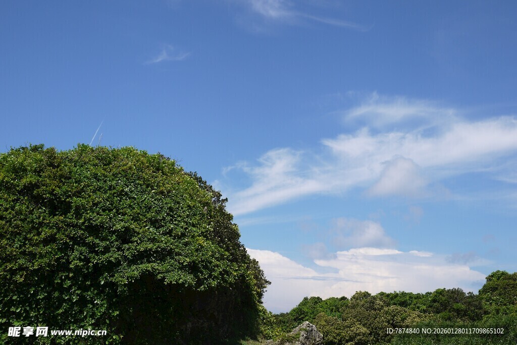 蓝天绿树风景