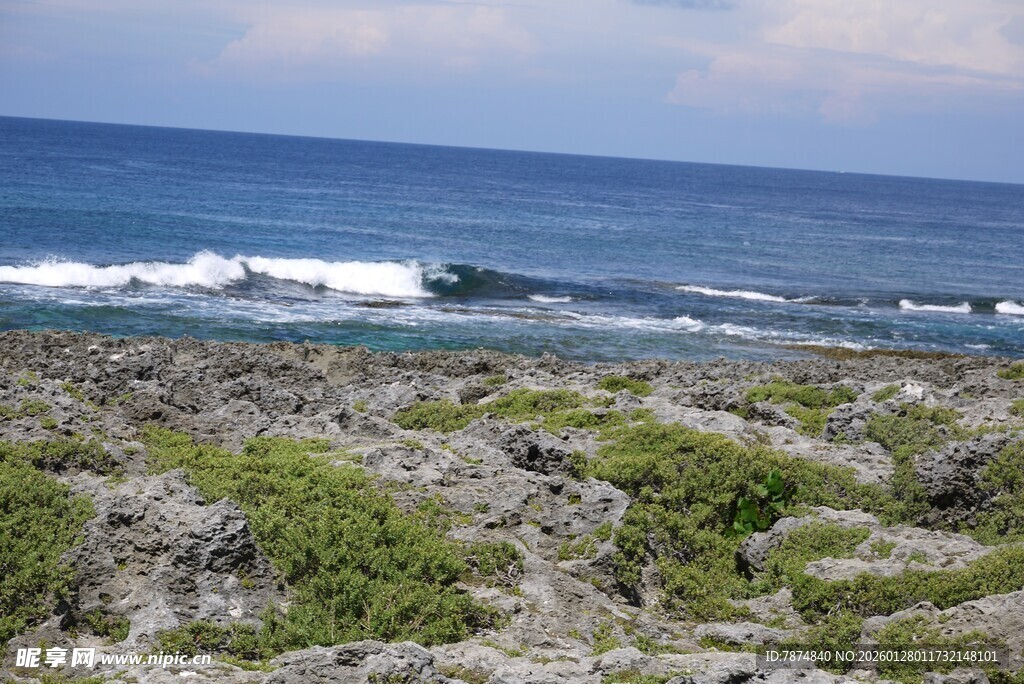 海岸边的绿植与蔚蓝大海