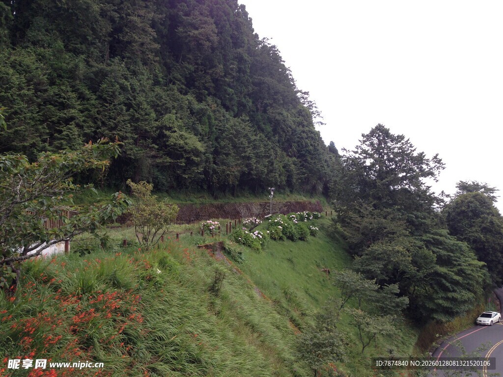 山间蜿蜒的翠绿公路