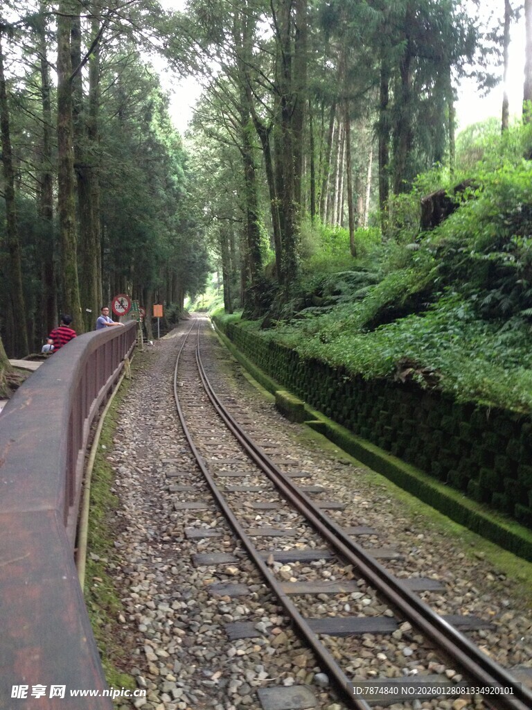 林间蜿蜒的铁路轨道