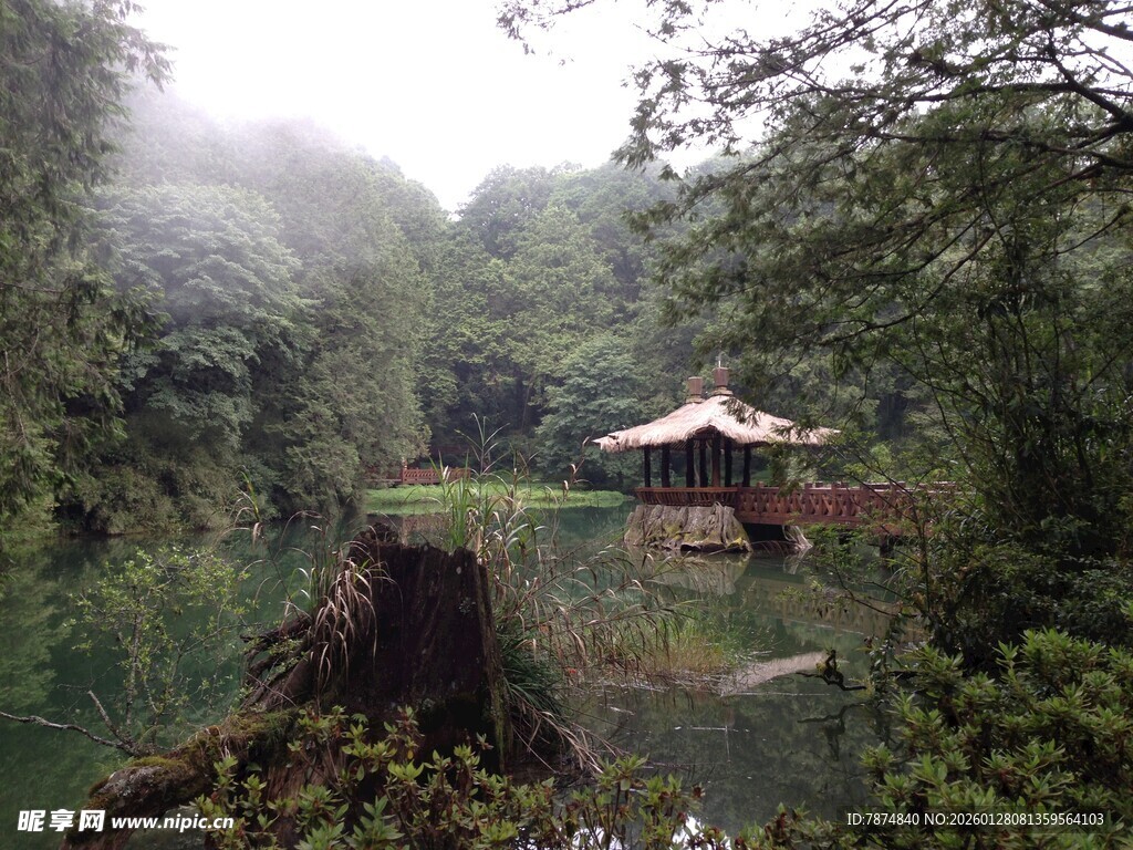 雾中溪边的静谧凉亭