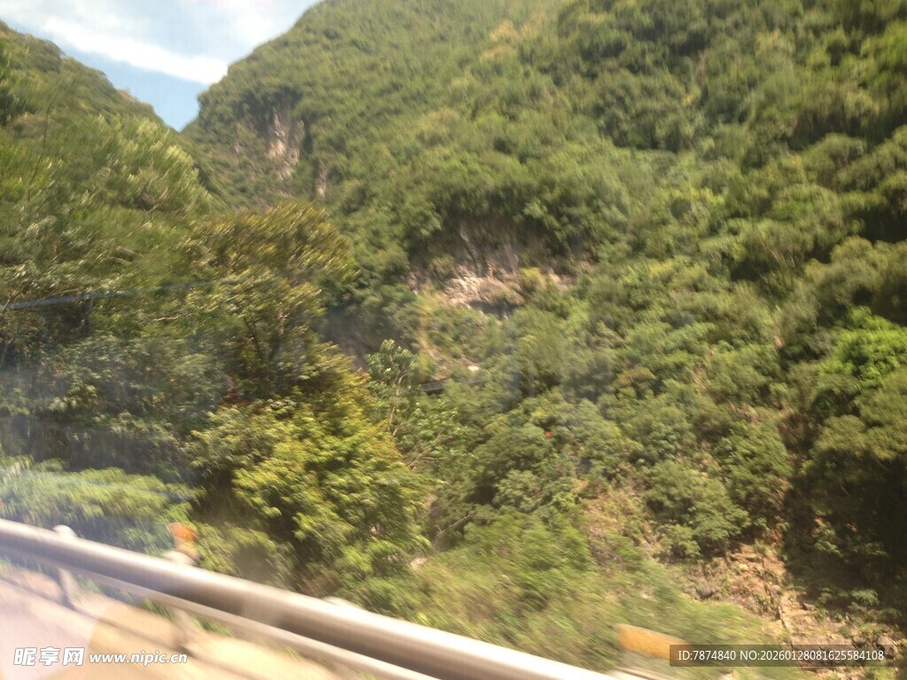 山间公路旁的葱郁植被