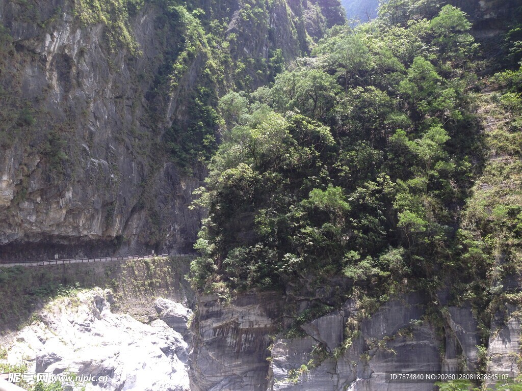 山间绿意盎然的峡谷景观