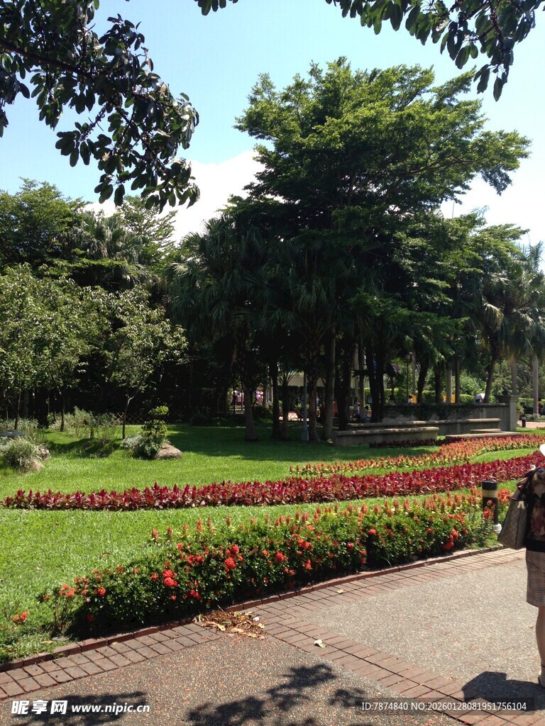 公园小径漫步美景