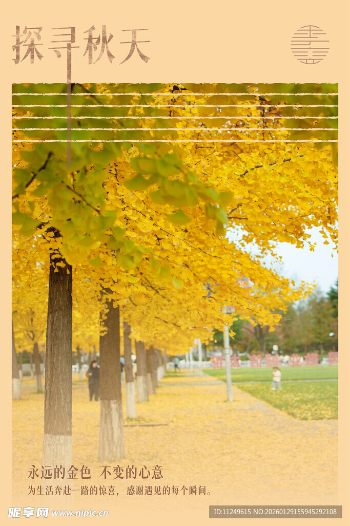 秋天海报