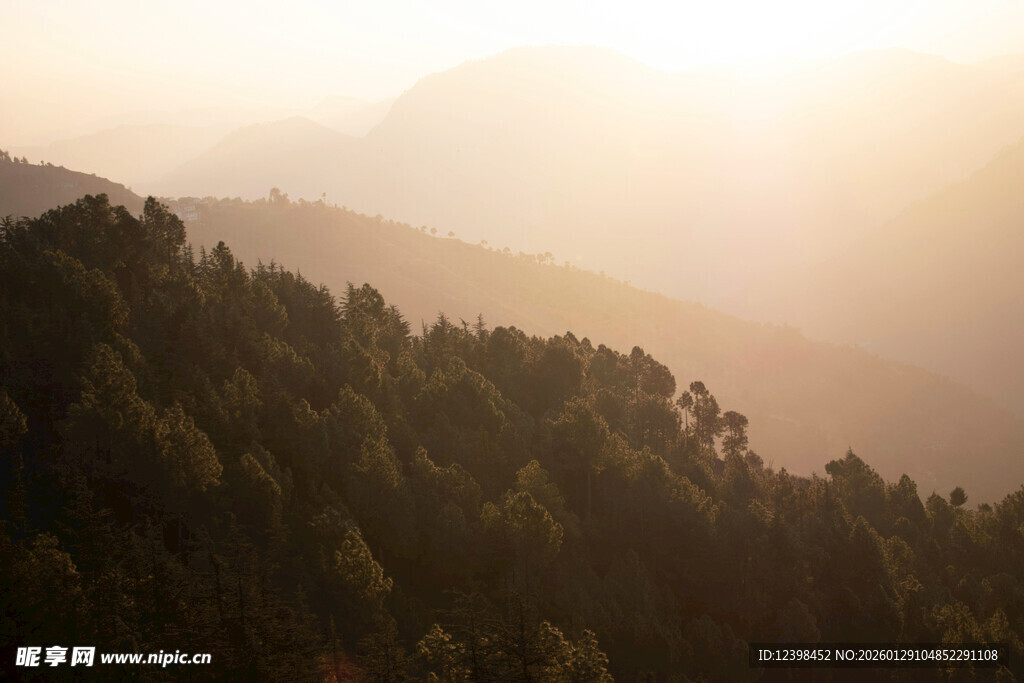 夕阳下的山林美景