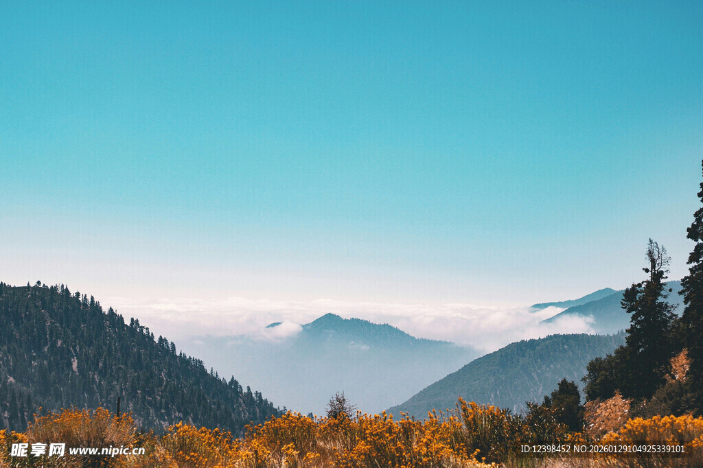 秋日山林云海美景