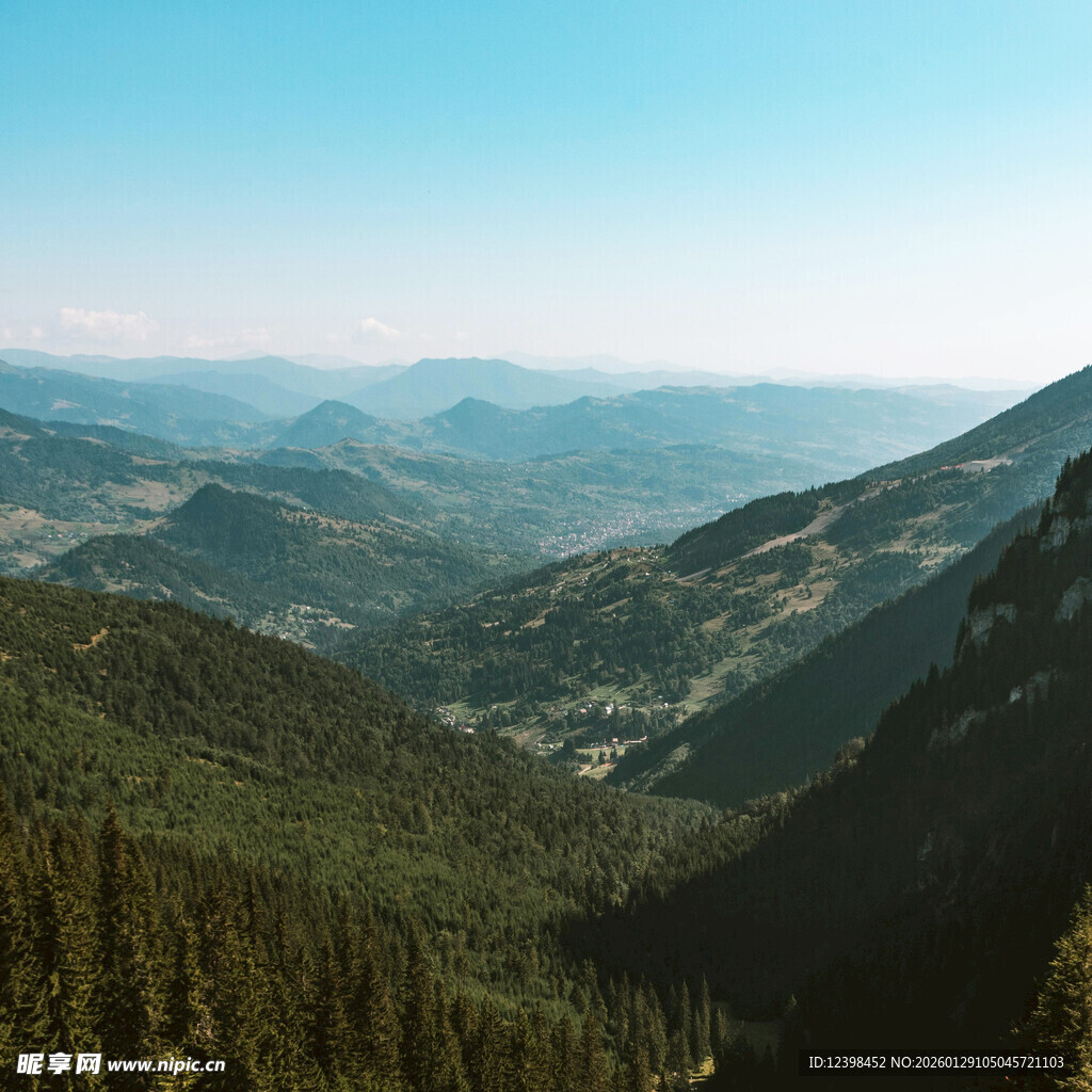 壮丽山峦间的葱郁森林