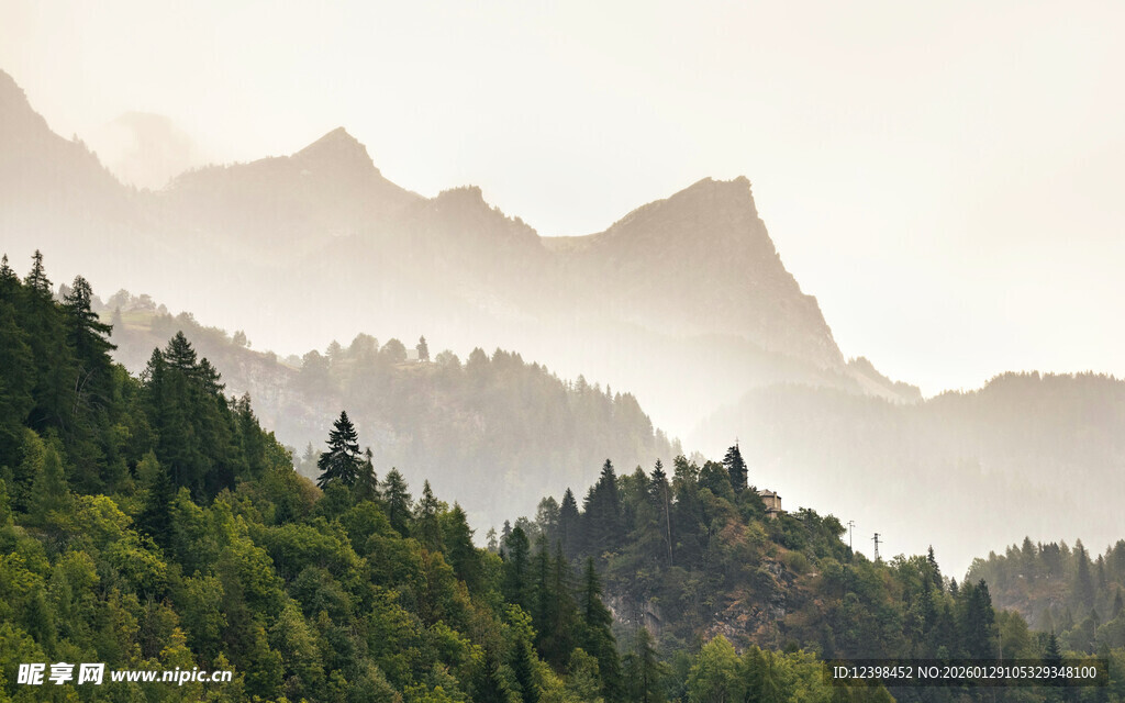 山间云雾缭绕的葱郁山林
