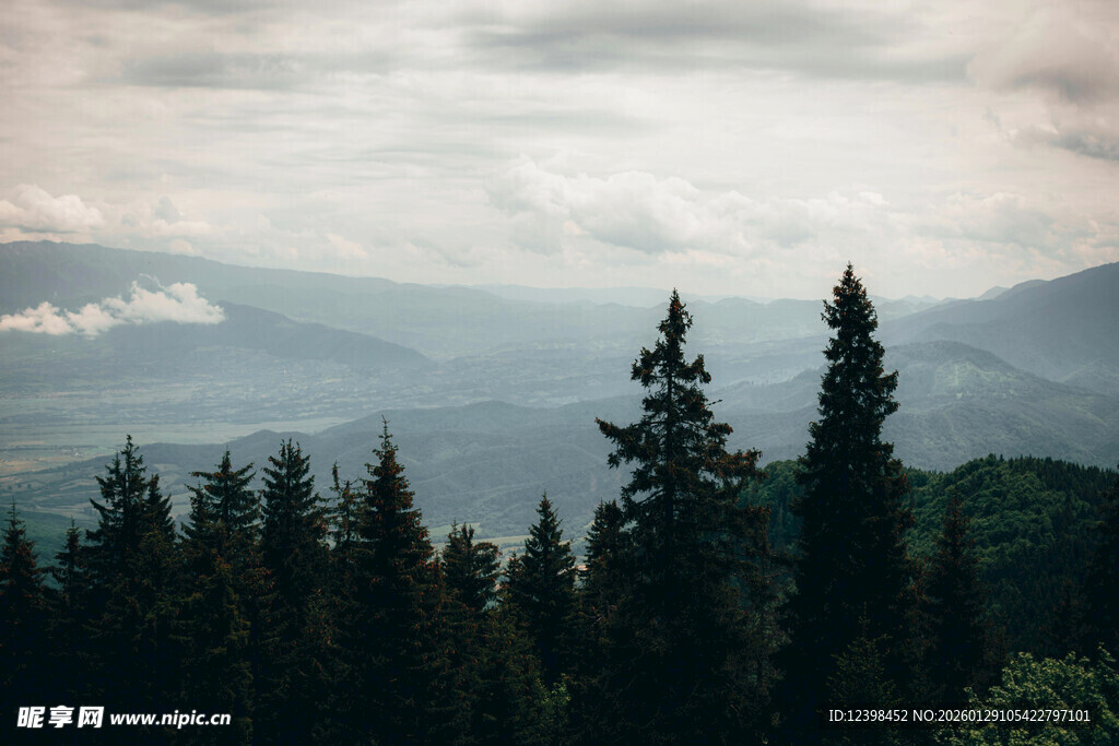山林云雾间的静谧景致