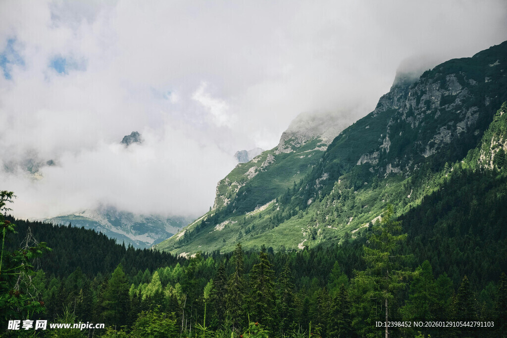 山间云雾缭绕的翠绿山林