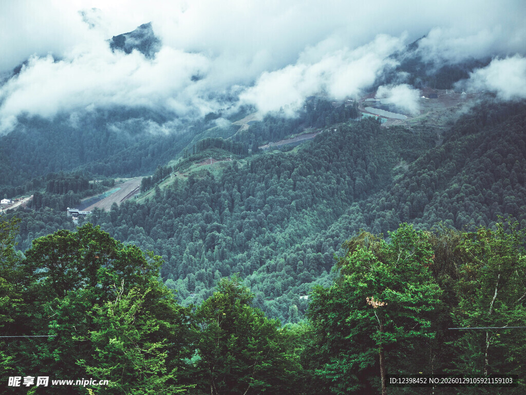 云雾缭绕的山林美景