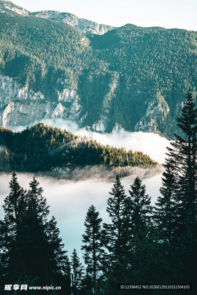 山间晨雾中的森林湖泊