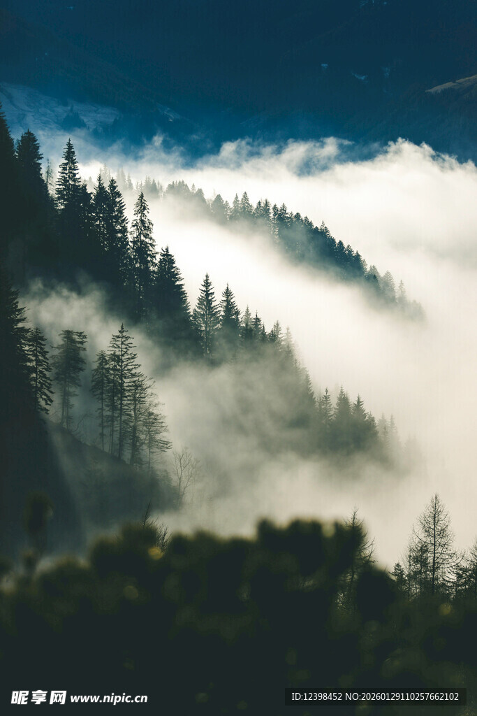 山间云雾缭绕的森林美景