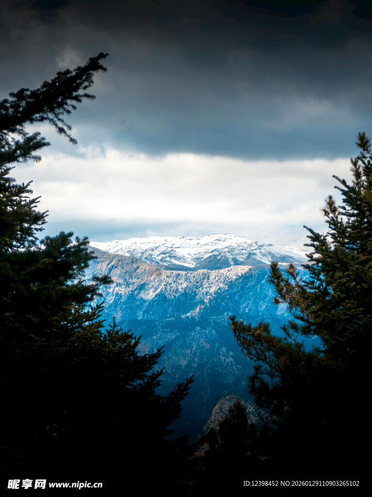 透过林木望壮丽雪山景观