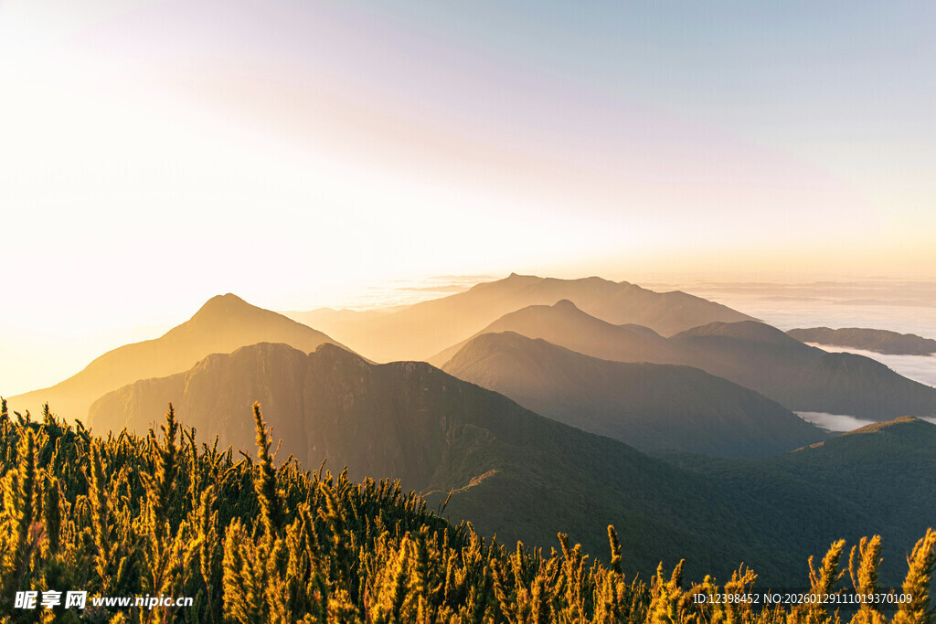日出下的山峦与金黄植被