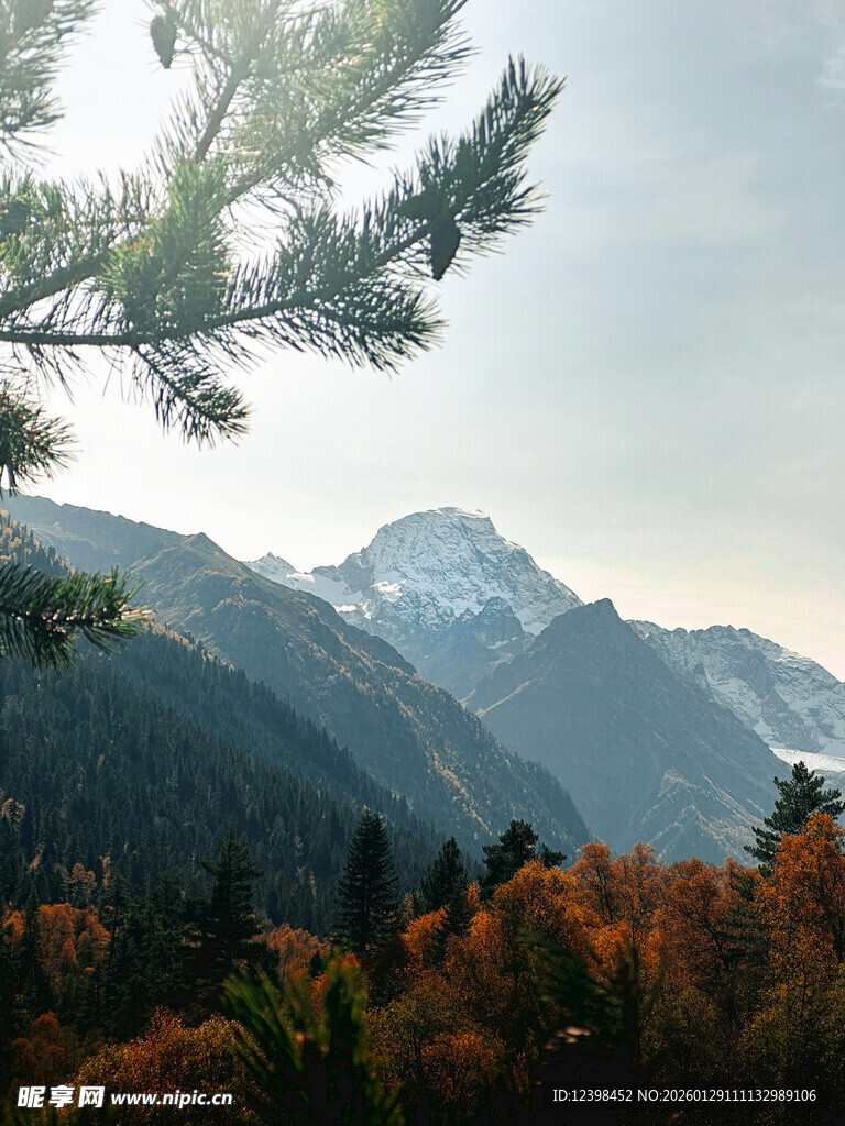 秋日山林间的壮丽山脉景色