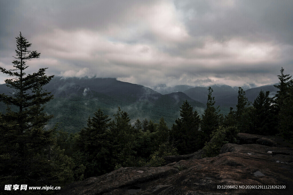 云雾缭绕的山林景致