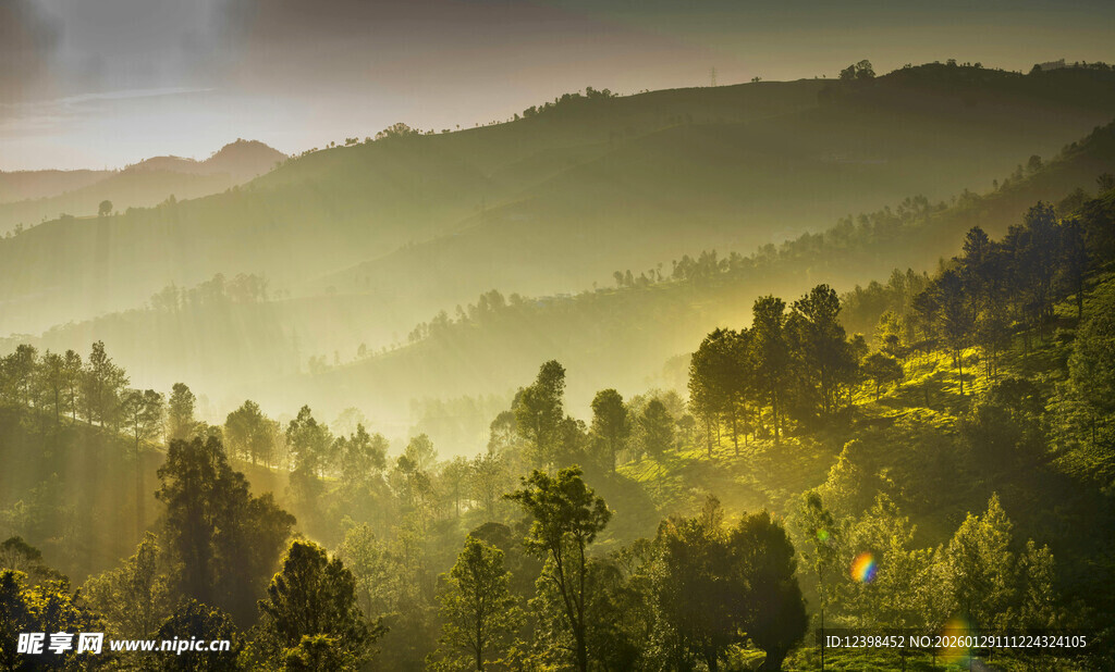 晨雾中的山林美景