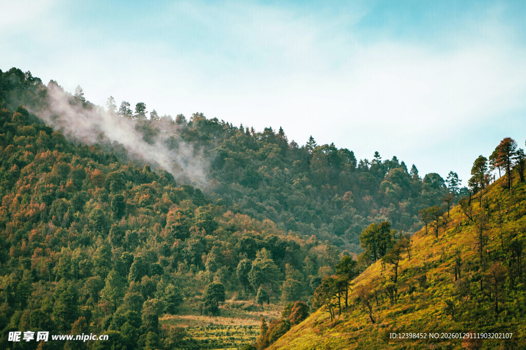 山间云雾缭绕的翠绿山林