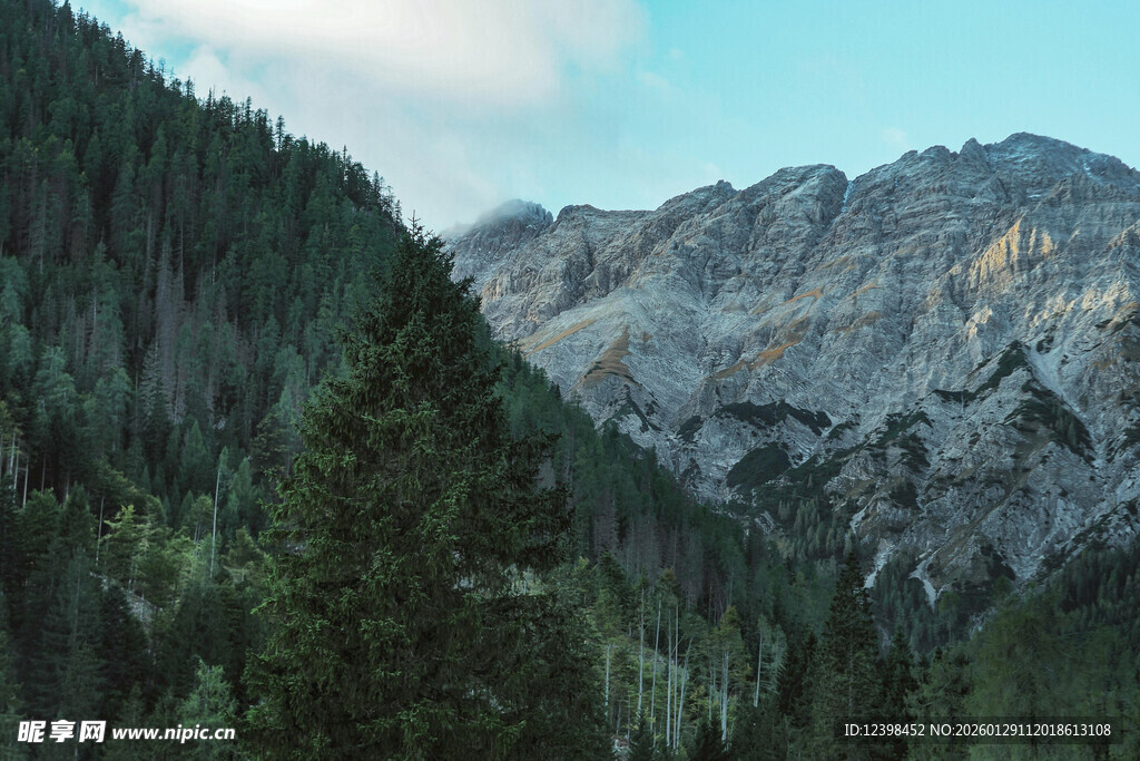 巍峨山峦间的葱郁森林