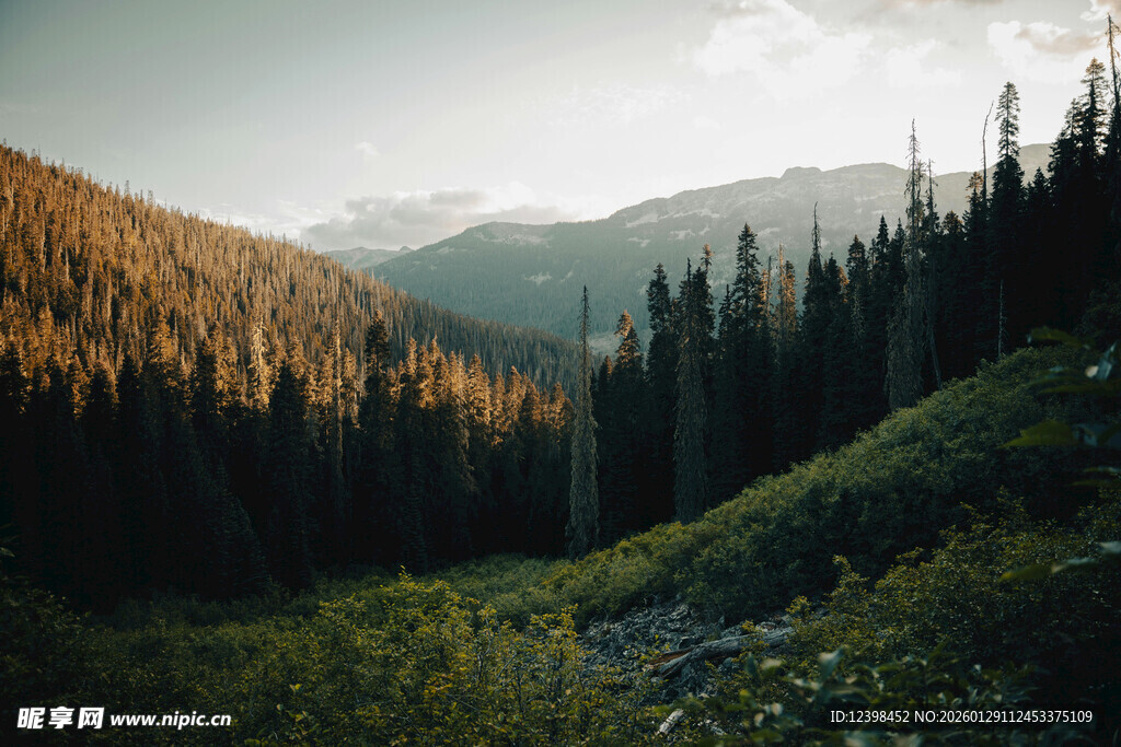 山林间的静谧美景