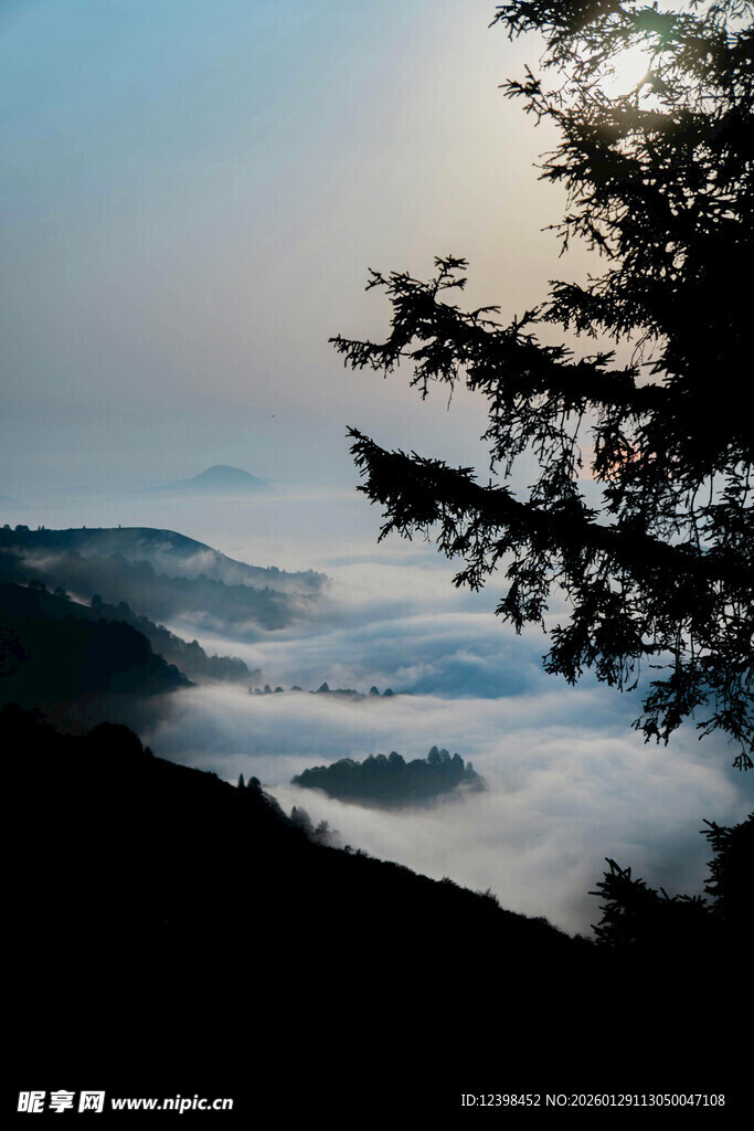 山间云海与树的静谧景致