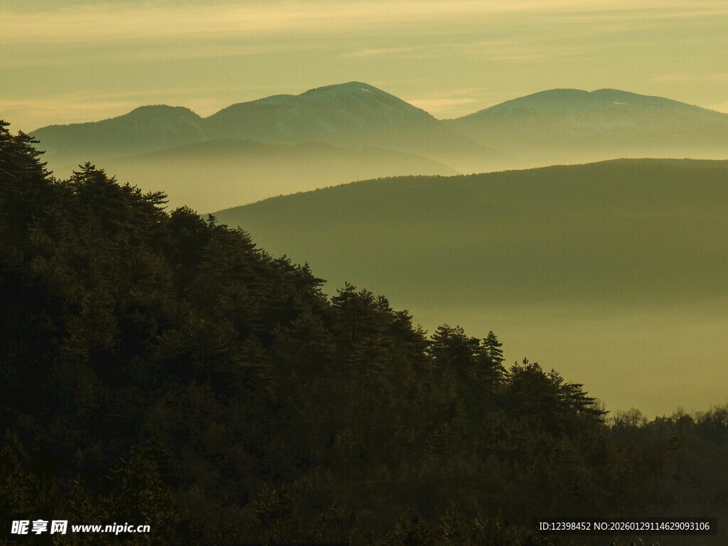 山间晨雾中的葱郁山林