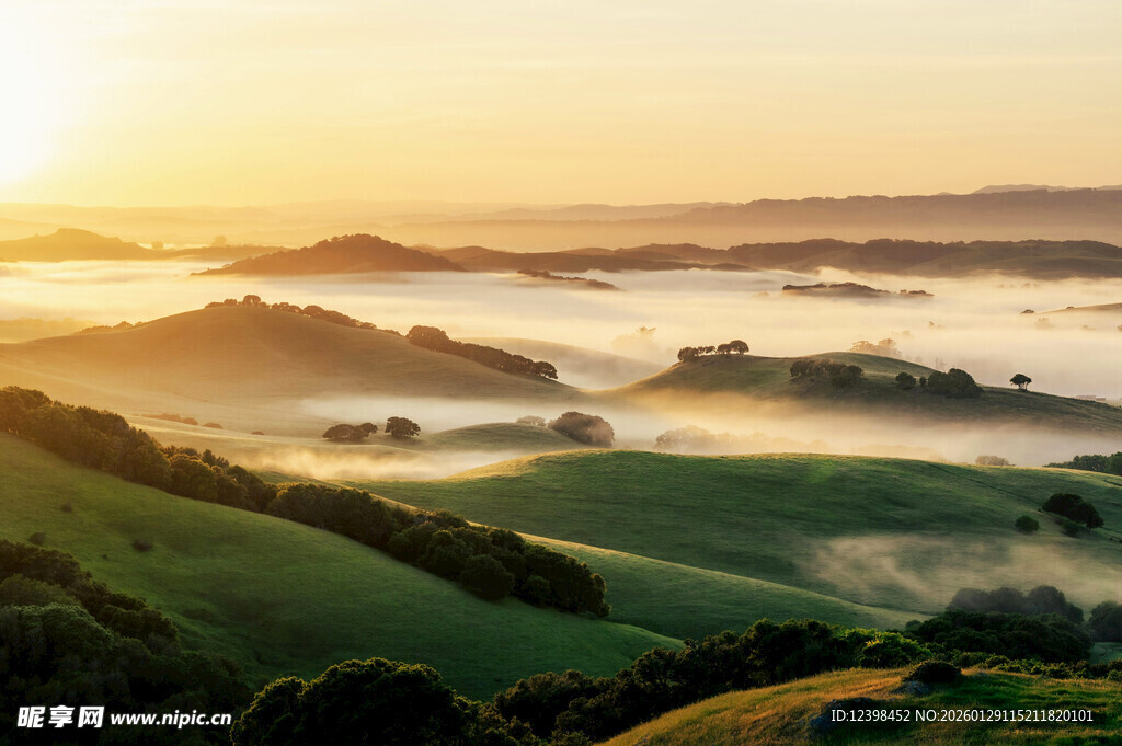 日出下的田园雾景