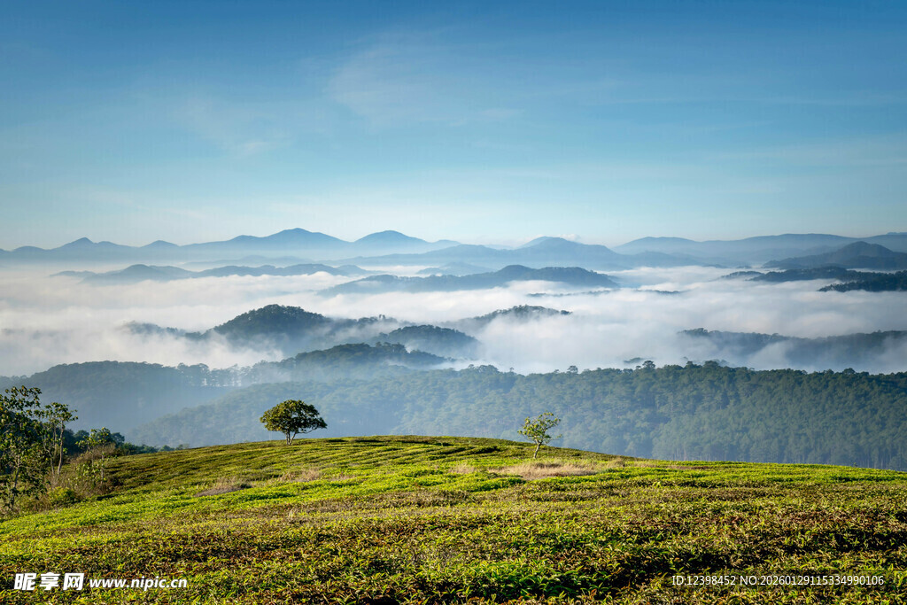山间云海美景
