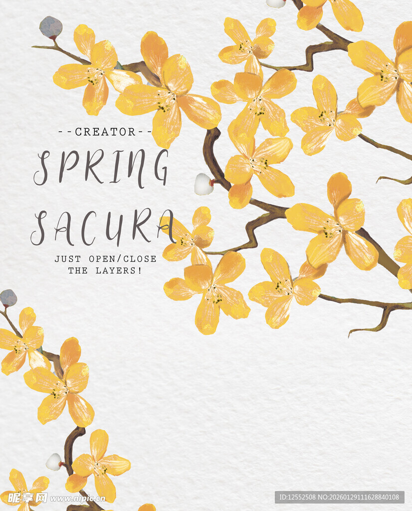 春日绽放的黄色花朵枝