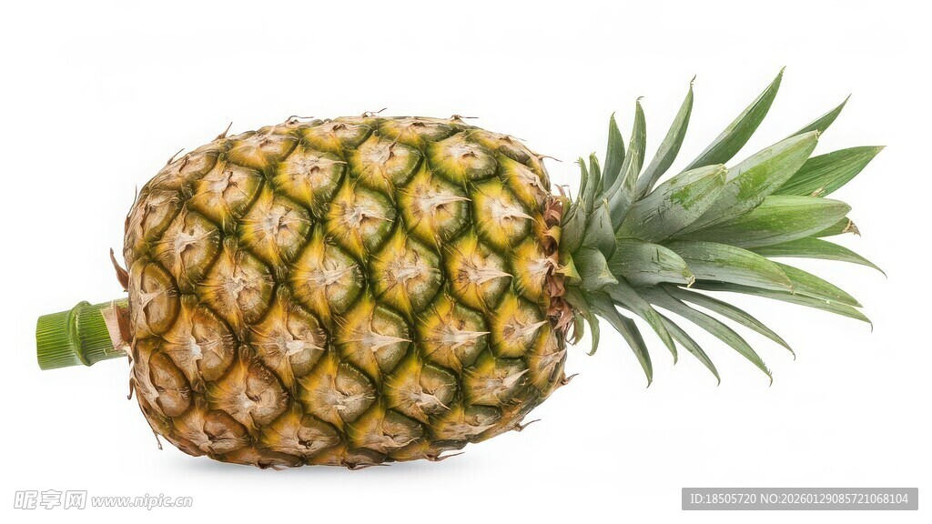 新鲜菠萝特写