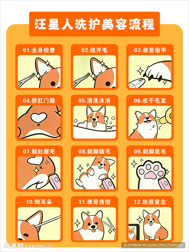 宠物洗护美容流程 