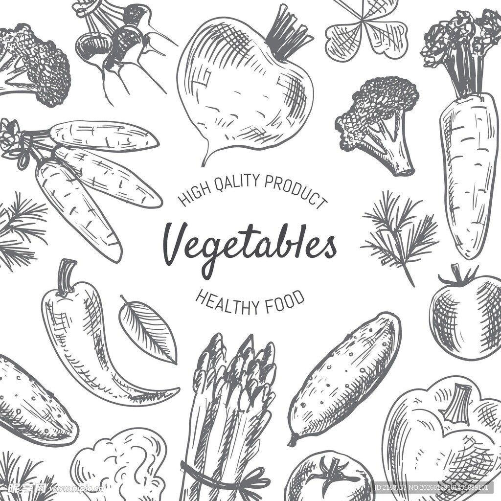 手绘蔬菜集合图
