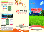 中华保险种植业