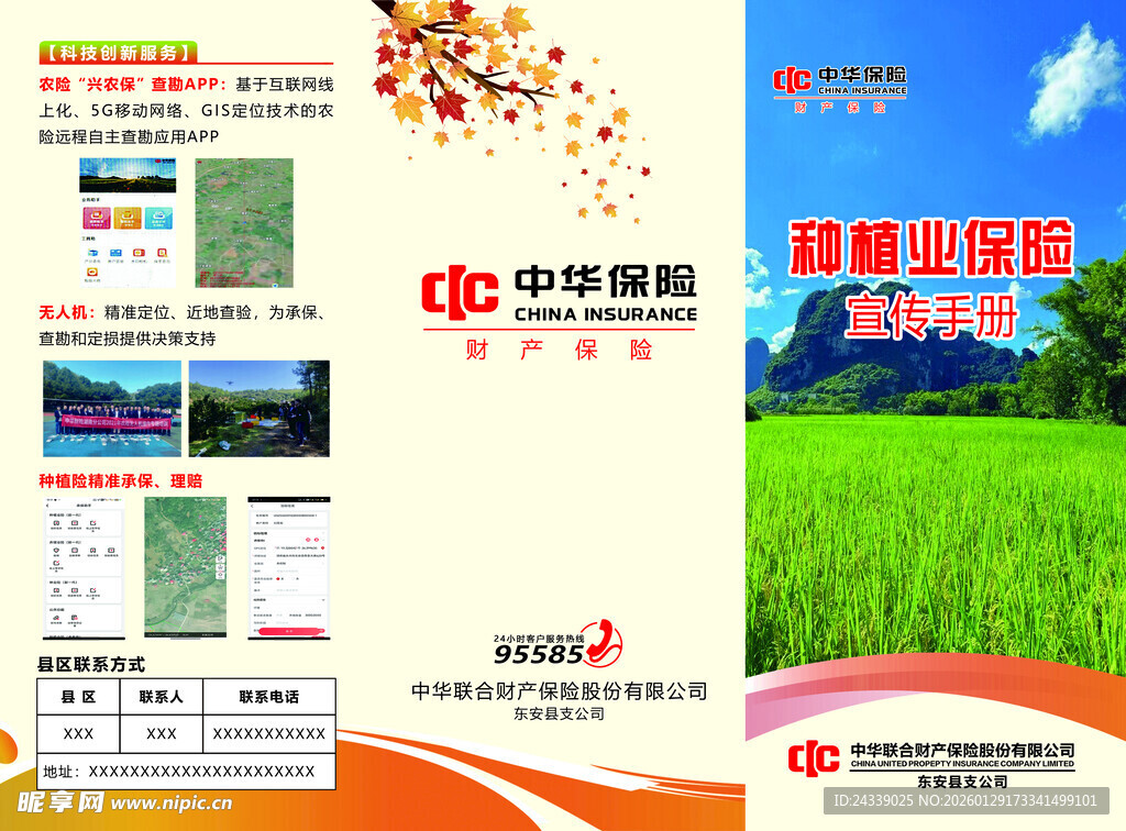 中华保险种植业