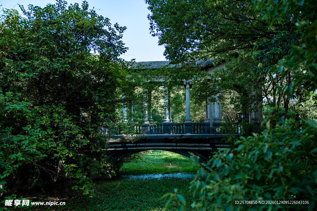 绿荫下的静谧石桥景观