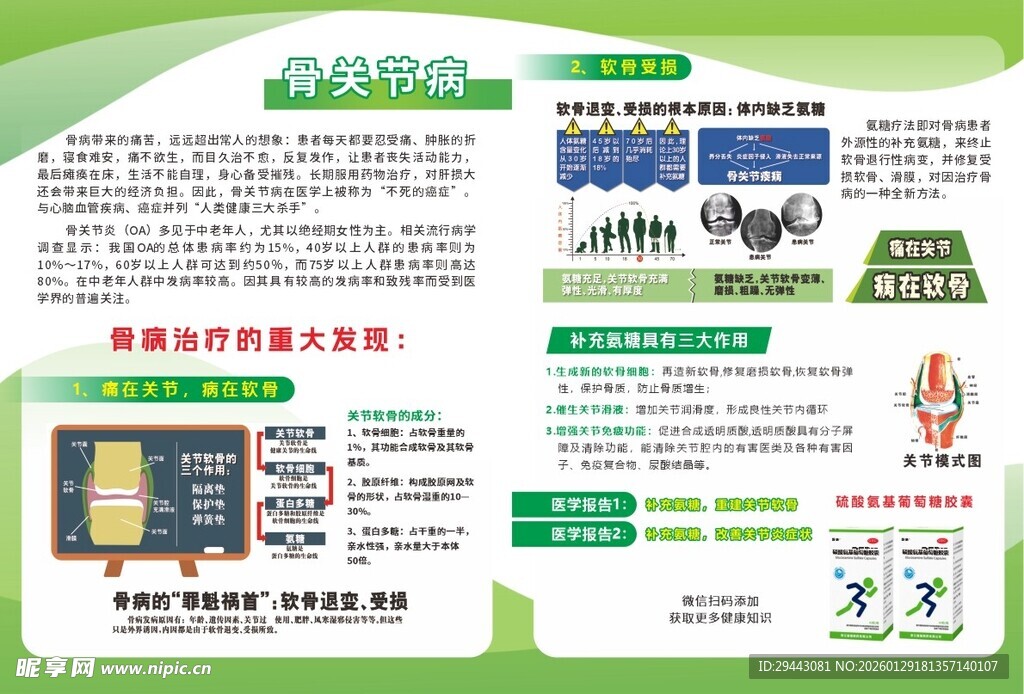 氨糖宣传页展示