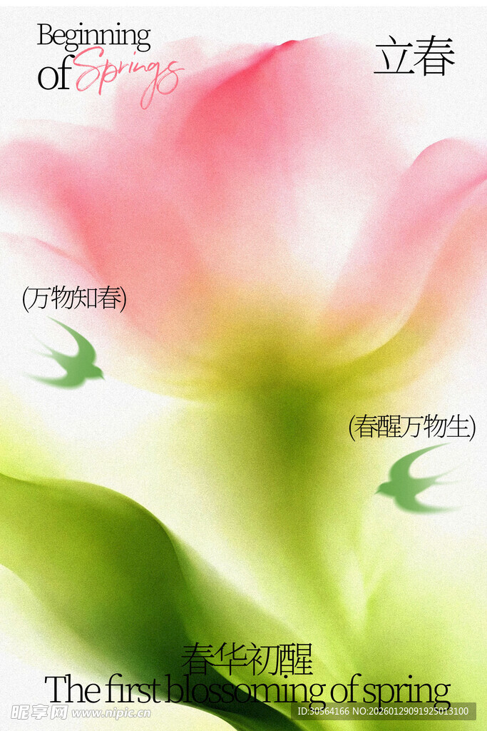 立春花卉节气海报
