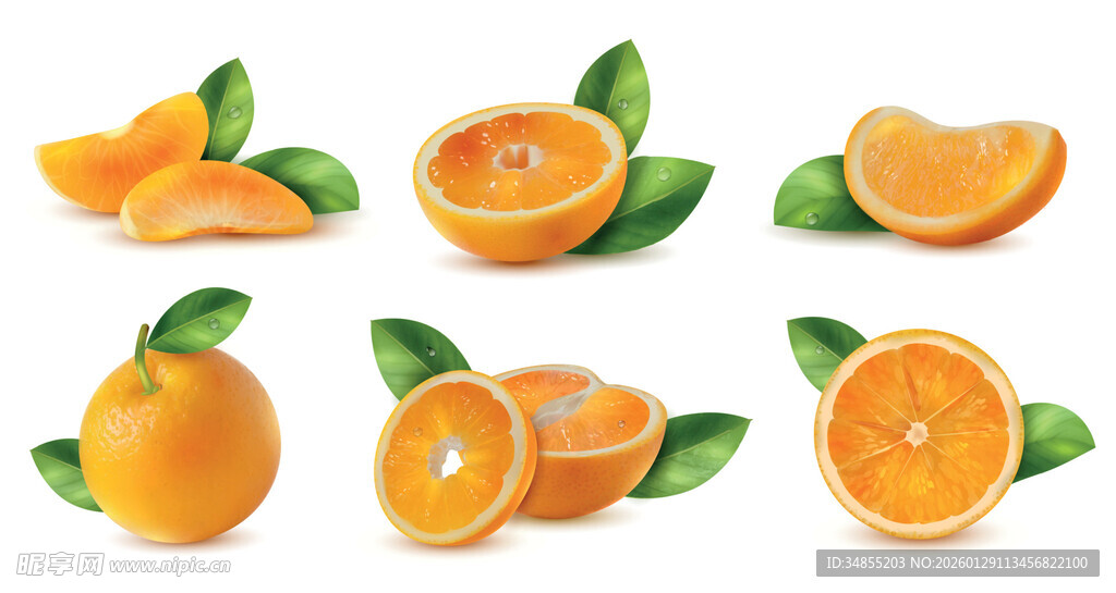 新鲜橙子插图
