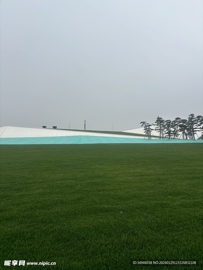 广袤绿草地与远处树木