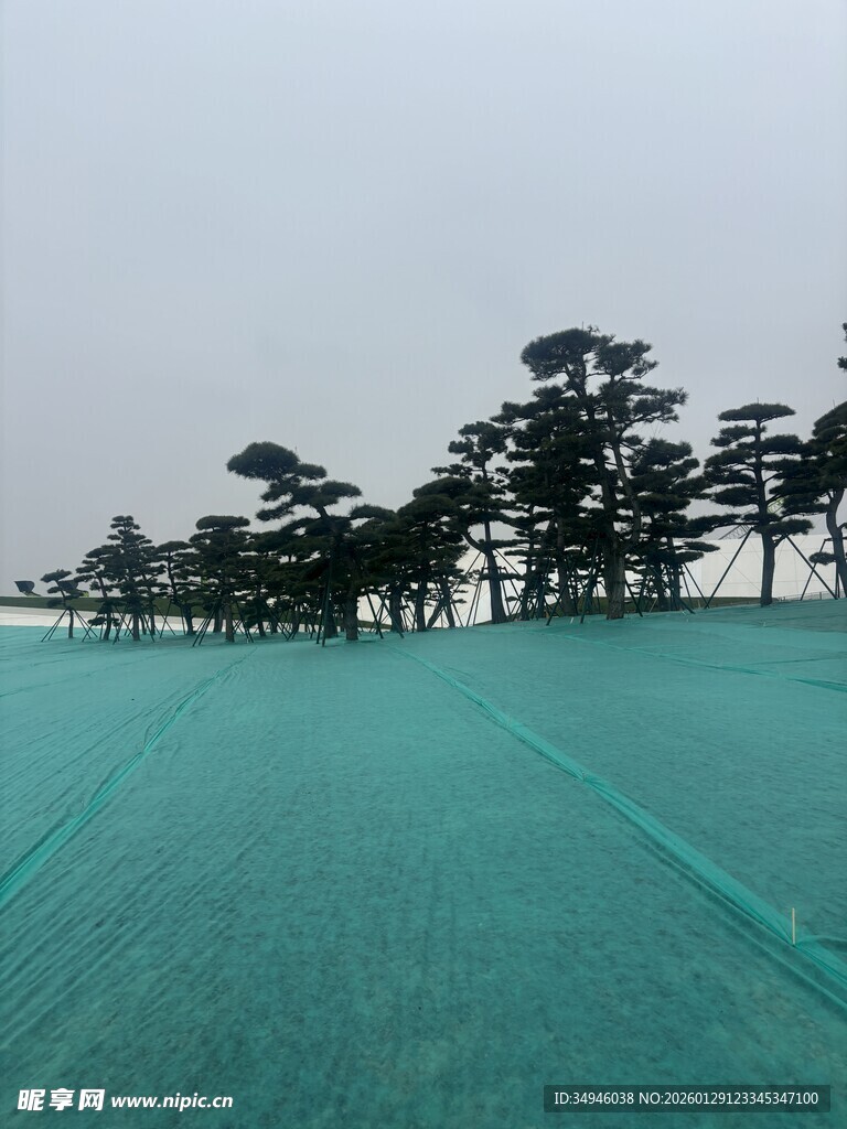 绿色防护网覆盖的开阔场地